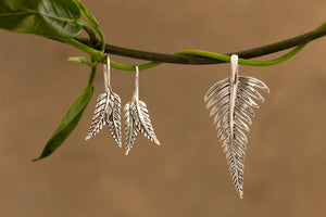 Fern Collection