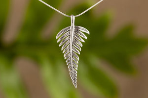 Fern Collection