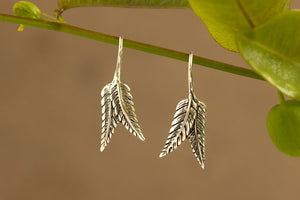 Fern Collection