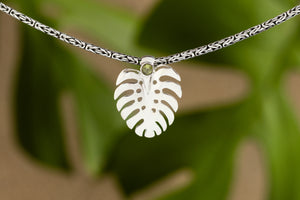 Monstera Collection