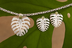 Monstera Collection