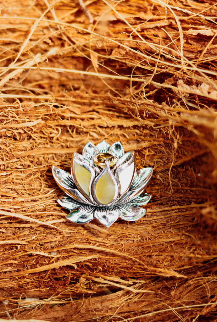 Golden Lotus - Sassafras Hawaii