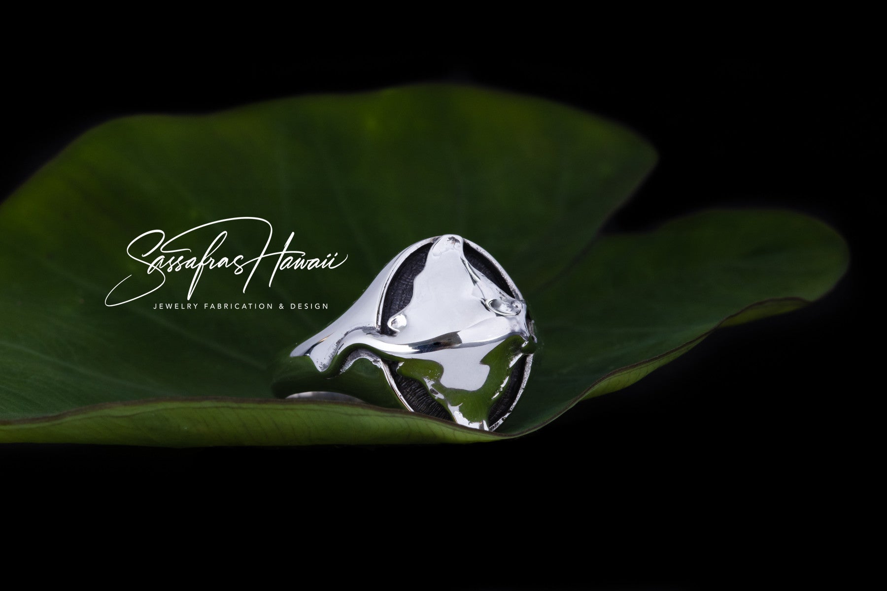 3D Manta ring