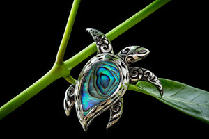 Honu with Paua Shell